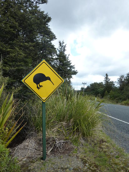 Das ist ein Kiwi - NZ Nationalvogel. Nachtaktiv, weshalb ich ihn nur im Zoo gesehen habe, also in echt. 