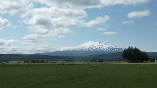 Da is er - der Tongariro Vulkan! NZ at it's best!
