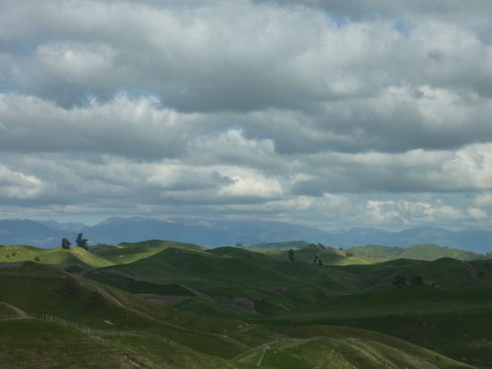 Nach dem letzten Ort fuhren wir nur noch ueber gruene Huegel mit Schafen drauf....