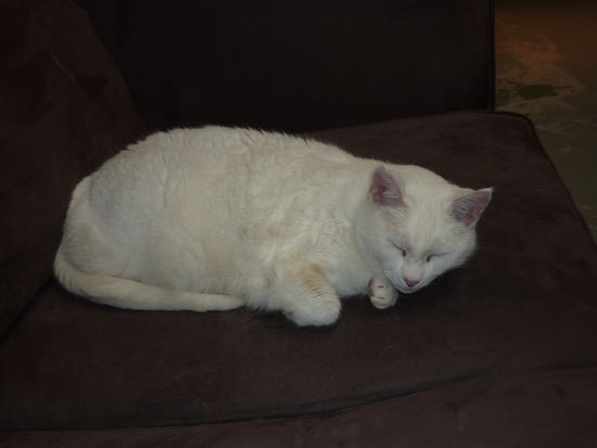 ... Whity, die alte Hippe, tut was sie am besten kann...