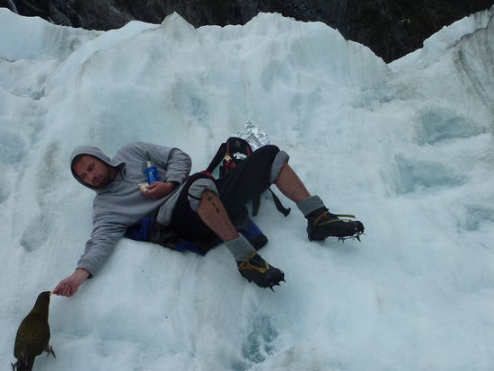 Und jetzt wissen wir auch warum uns der Papagei verfolgt hat! 