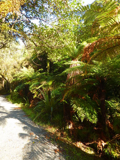 Das sieht ja noch nicht so gletschermaessig aus!