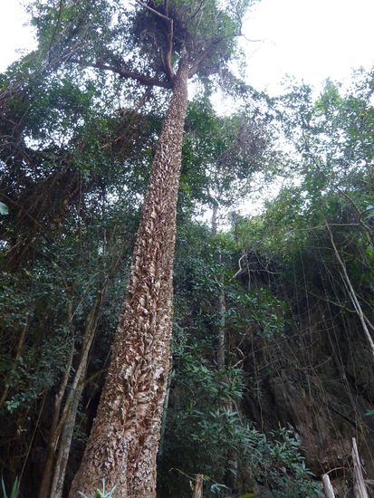 Etwas fuer die Schreiner 