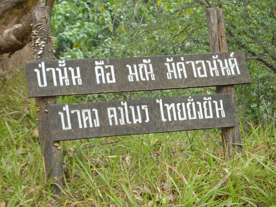 Typische Szene auf der Tour:
"Aehem sieht das ungefaehr so aus wie der Ort den uns der Ranger "aufgemalt" hat?"
"Hm...glaub schon!"
"Also da lang!..."
