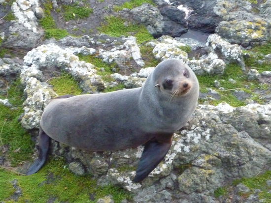 Ja willste mit mr kommen??? 