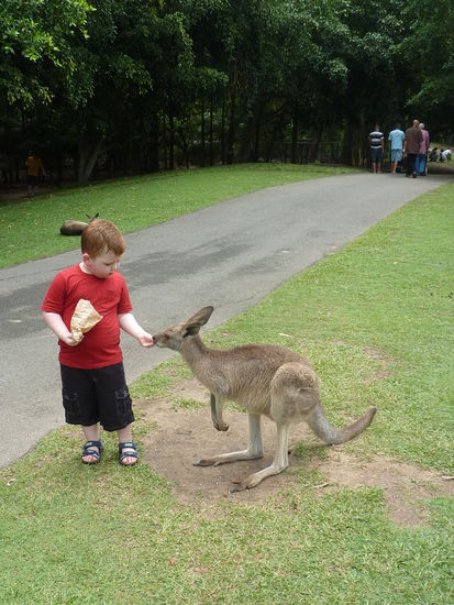 Fuer gross und klein!