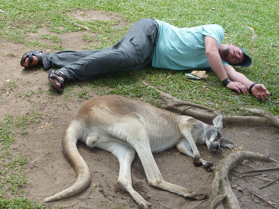 Erst mal ein Nickerchen!