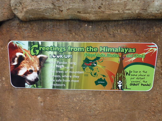 Ja nach denen haben wir in Darjeeling tagelang gesucht!!!