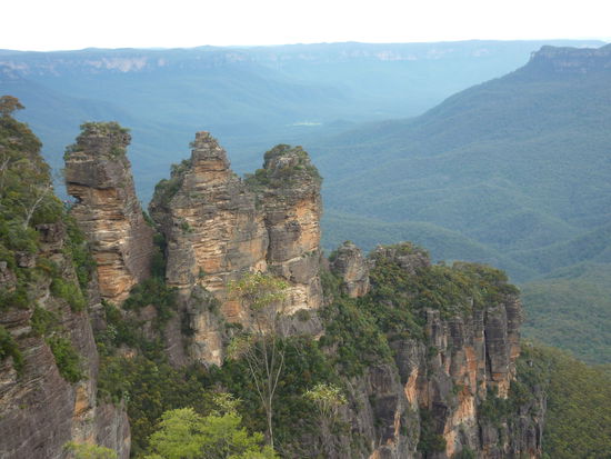 Ok, im Ernst sehen sie so aus! 