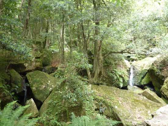 Schoen aber aus ein bisschen gruselig, wenn man bedenkt was da so alles rumkriecht!