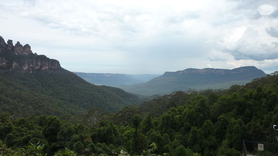 Kakadus beim nisten und umherschweben zuschauen! Wir haben die Natur sehr genossen.
