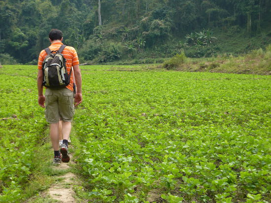 Unterwegs durch Erdnussfelder, die hier noch alle von Hand bearbeitet werden. Auch die kleinen Daemme zwischen den Feldern...