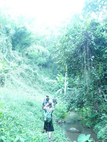 ...into the green...