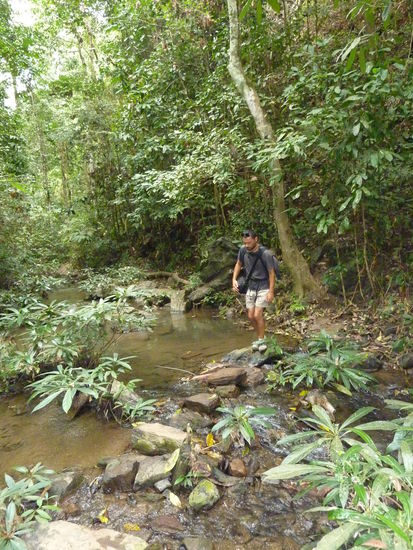 Diesen Bach haben wir geschaetzte 20x ueberquert, mit allen moeglichen Hilfsmitteln! Hier sei kurz angemerkt: ich liebe meine wasserdichten Wanderschuhe!!!