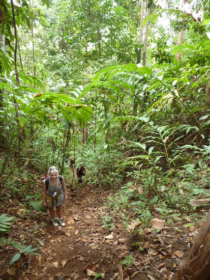 Dann war der Spass vorbei und aus dem Spaziergang wurde Bergsteigen!