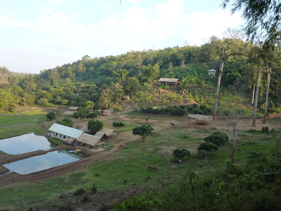 Das Elephant-Camp 
Die breite Huette am Berg war unser Schlafplatz und das rechte der Becken unser "Pool" (im linken haben morgens die Elefanten gebadet). 
Auf dem Platz unten waren die Elefanten und haben kraeftig Bambus verputzt (300kg\Tag)