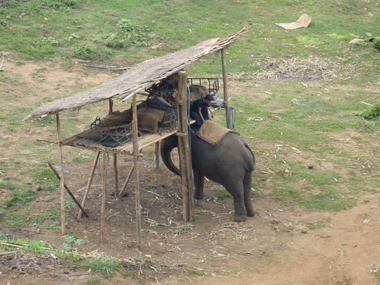 Elefantengarage\ -sattelstelle