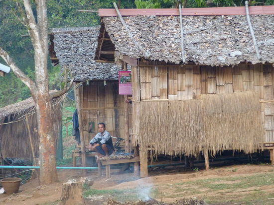Dort haben die Mahuts gewohnt. Das sind die traditionellen Haeuser in Nordthailand: Bambuswaende und fuer die Daecher werden grosse Blaetter zusammen genaeht.