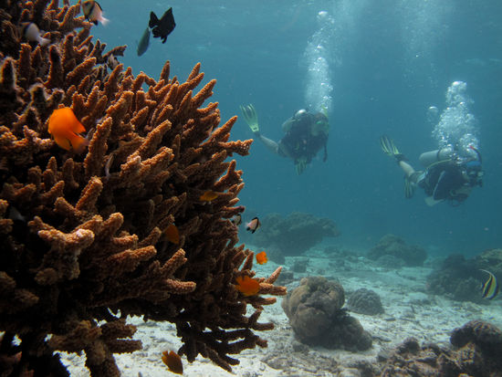 Nach den letzten Uebungen heisst's nur noch geniessen und staunen. 