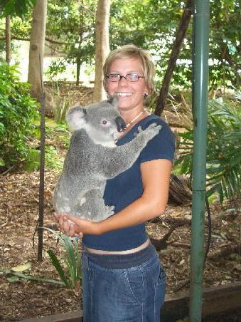 Meine erste Begegnung mit einem Koala