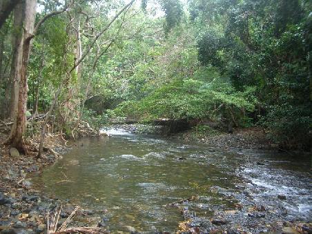 Mossman George