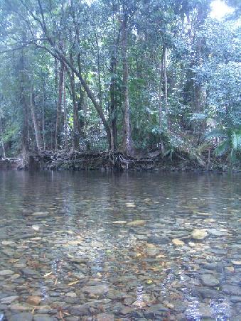 und nochmal.
Das Wasser ist soooo klar hier!
