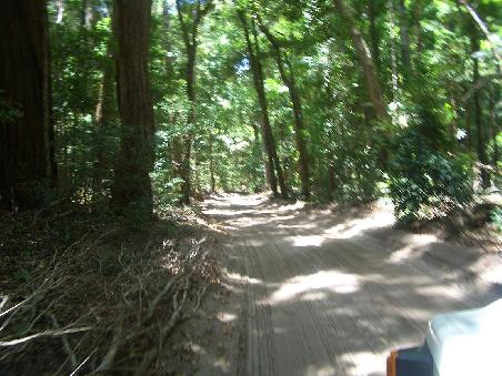 Strassen auf Fraser Island: so...