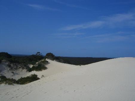 "Little Sahara" - ein teil davon.