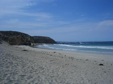 "Seal Bay"