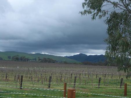 @ Jacob's Creek Winery