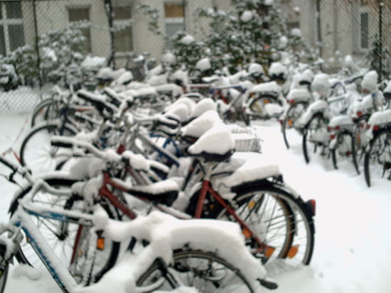 Diese einsamen Fahrräder warten scheinbar völlig "cool" auf sonnige Zeiten, und die Bezitzer denken vielleicht über einen längeren Winterschlaf nach.