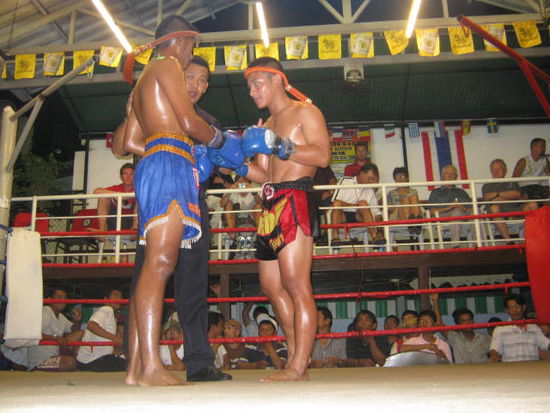 Box-Nacht im Box-Garden,
diese Kämpfer wiegen um die 52 Kg.
