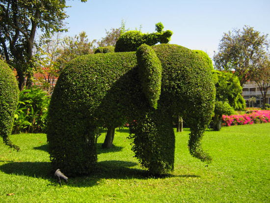 Der Garten vom Sofitel, das schönste Hotel in Hua-Hin,
aber auch mit das teuerste.