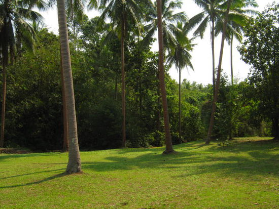 live in the middle of the wood,
wonderfull !