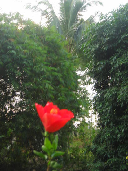 eye-catcher- directly in front my home.