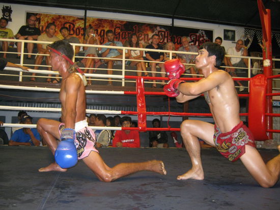 Boxevent -Stets 5 Kämpfe a 5 Runden