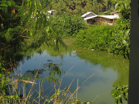 Blick aus dem Fenster.