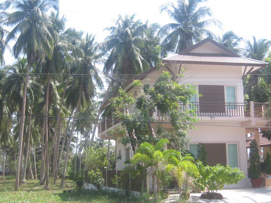 dieses nette Anwesen kann man mieten, direkt neben dem 7 eleven.
leider direkt an der strasse und fern vom Strand