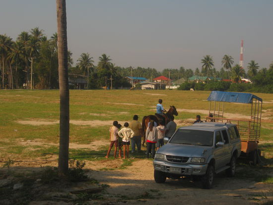 Yacht-club mit reiten für jederman