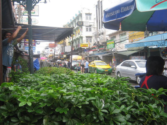 es gibt auch GRÜN in der Khaosan.