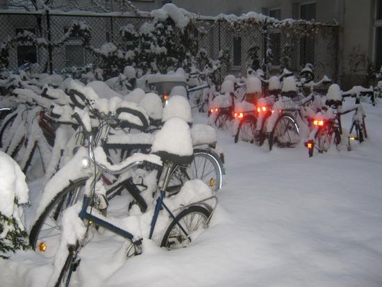 Nett in schnee gehüllt, warten auf den Früling.