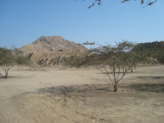 eine der vielen Pyramiden von Tucume