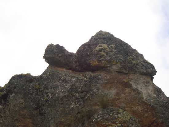 und da ich ja nicht auf Galapagos war.. hier doch noch die Schildkröte (wenn auch aus Stein)