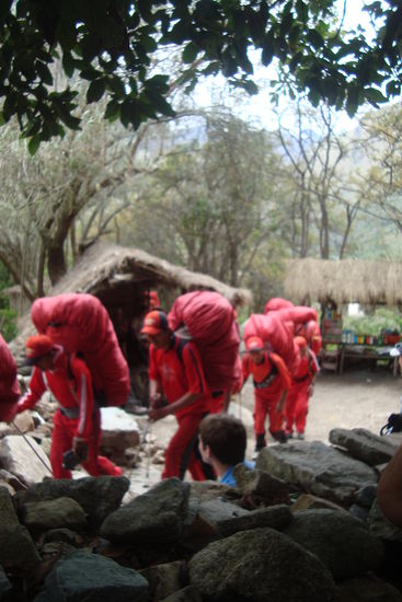 Die Ferrari - Porter