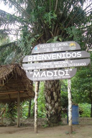welcome to Madidi