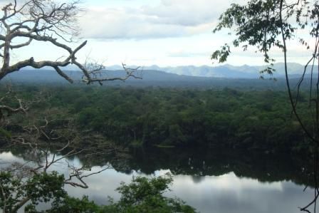 Sicht über den Madidi Nationalpark