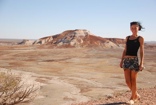 "Painted Desert".... ein schönes Desert, aber nicht zum Naschen