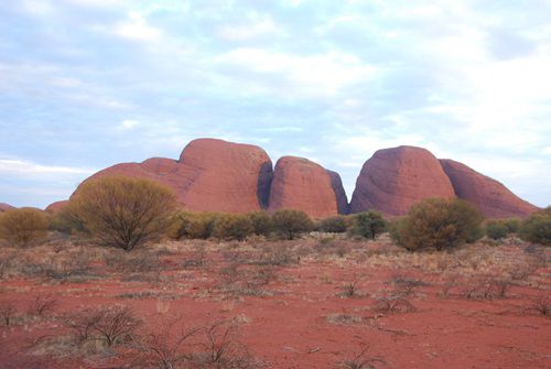 Die Olgas....546 Meter hoch