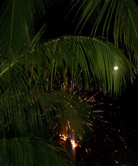 ein kleiner Aussschnitt vom großen Feuerwerk  zwischen den Palmen....