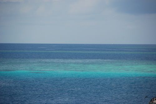 Eines der Tausend Riffe des Grand Barrier Reef´s
